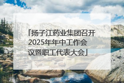 扬子江药业集团召开2025年年中工作会议暨职工代表大会