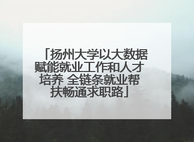 扬州大学以大数据赋能就业工作和人才培养 全链条就业帮扶畅通求职路