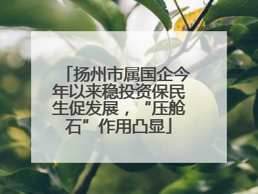扬州市属国企今年以来稳投资保民生促发展，“压舱石”作用凸显