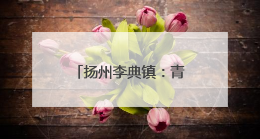 扬州李典镇：青砖铺就整洁路 共治绘就新田园