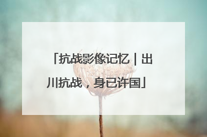 抗战影像记忆|出川抗战,身已许国