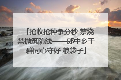 抢收抢种争分秒 禁烧禁抛筑防线——郎中乡干群同心守好 粮袋子