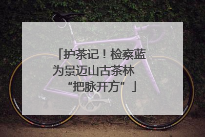 护茶记！检察蓝为景迈山古茶林 “把脉开方”