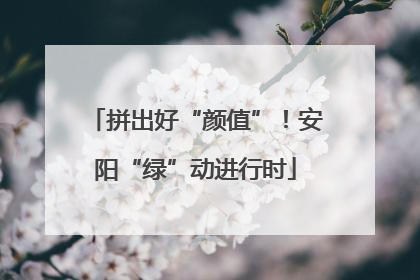 拼出好“颜值”！安阳“绿”动进行时