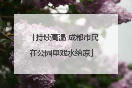 持续高温 成都市民在公园里戏水纳凉