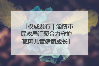 权威发布｜淄博市民政局汇聚合力守护孤困儿童健康成长