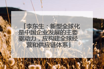 李东生：新型全球化是中国企业发展的主要驱动力，应构建全球经营和供应链体系