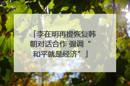 李在明再提恢复韩朝对话合作 强调“和平就是经济”