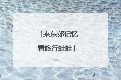来东郊记忆 看旅行蛙蛙