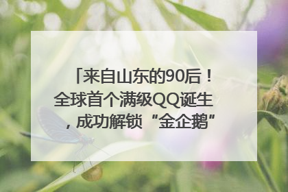 来自山东的90后！全球首个满级QQ诞生，成功解锁“金企鹅”，是继承父亲账号