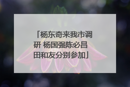 杨东奇来我市调研 杨国强陈必昌田和友分别参加
