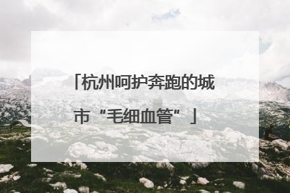杭州呵护奔跑的城市“毛细血管”