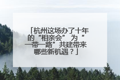 杭州这场办了十年的“相亲会” 为“一带一路”共建带来哪些新机遇？