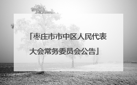 枣庄市市中区人民代表大会常务委员会公告