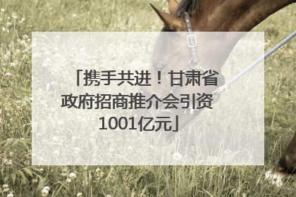携手共进！甘肃省政府招商推介会引资1001亿元
