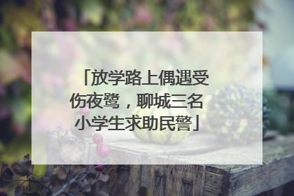 放学路上偶遇受伤夜鹭，聊城三名小学生求助民警