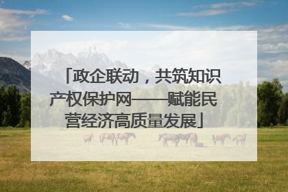政企联动，共筑知识产权保护网——赋能民营经济高质量发展