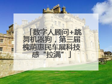 数字人顾问+跳舞机器狗，第三届槐荫惠民车展科技感“拉满”