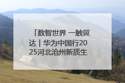 数智世界 一触冀达｜华为中国行2025河北沧州新质生产力峰会成功举办