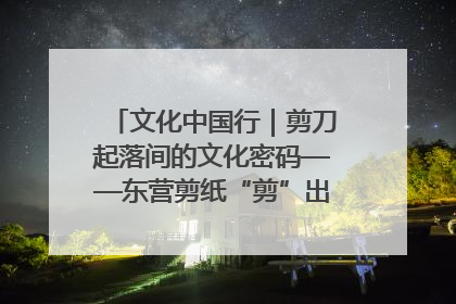 文化中国行｜剪刀起落间的文化密码——东营剪纸“剪”出非遗传承与现代生活的融合之道