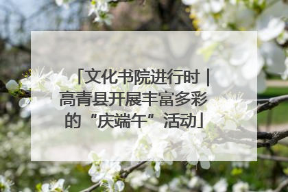 文化书院进行时｜高青县开展丰富多彩的“庆端午”活动