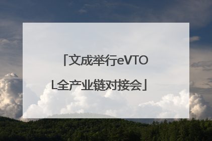 文成举行eVTOL全产业链对接会