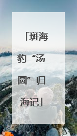 斑海豹“汤圆”归海记