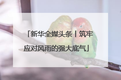 新华全媒头条丨筑牢应对风雨的强大底气