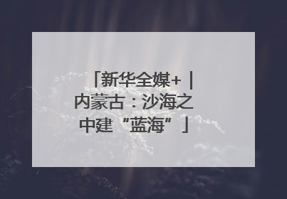 新华全媒+｜内蒙古：沙海之中建“蓝海”