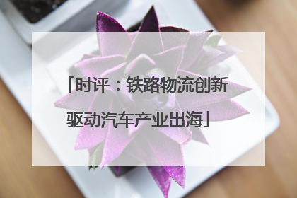 时评：铁路物流创新驱动汽车产业出海