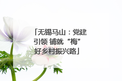 无锡马山：党建引领 铺就“梅”好乡村振兴路