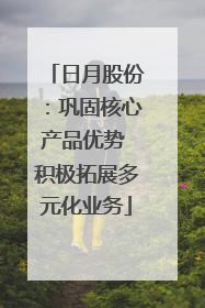 日月股份：巩固核心产品优势 积极拓展多元化业务