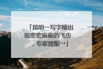 昆明一写字楼出现密密麻麻的飞虫，专家提醒→
