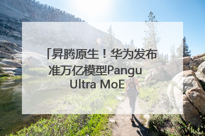 昇腾原生！华为发布准万亿模型Pangu Ultra MoE模型架构和训练细节