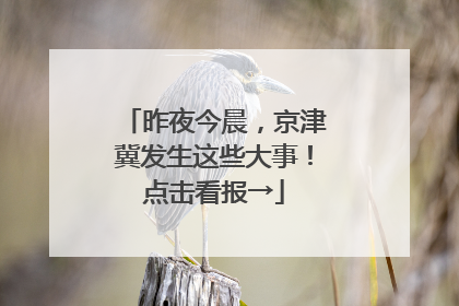 昨夜今晨，京津冀发生这些大事！点击看报→