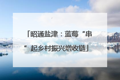昭通盐津：蓝莓“串”起乡村振兴增收链