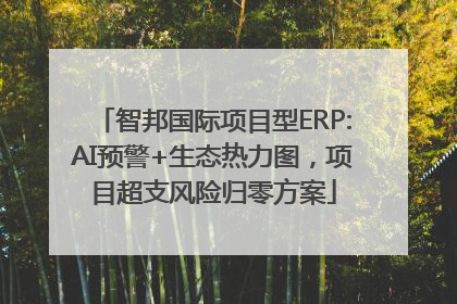 智邦国际项目型ERP:AI预警+生态热力图，项目超支风险归零方案