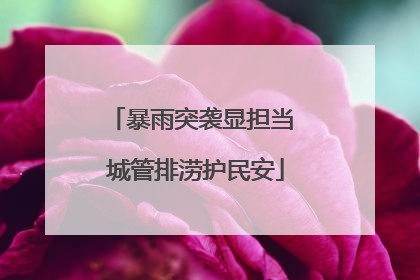 暴雨突袭显担当 城管排涝护民安