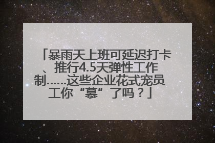 暴雨天上班可延迟打卡、推行4.5天弹性工作制……这些企业花式宠员工你“慕”了吗？