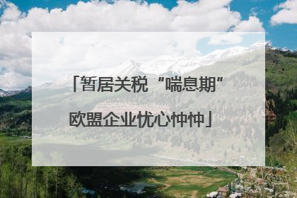 暂居关税“喘息期” 欧盟企业忧心忡忡