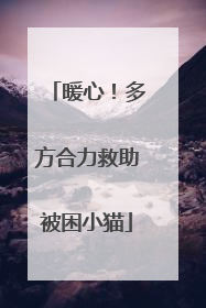 暖心！多方合力救助被困小猫