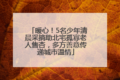 暖心！5名少年清晨采摘助北宅孤寡老人售杏，多方善意传递城市温情