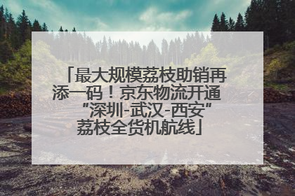 最大规模荔枝助销再添一码！京东物流开通“深圳-武汉-西安” 荔枝全货机航线