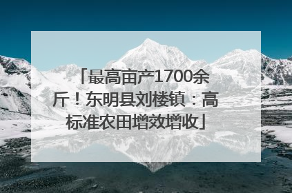 最高亩产1700余斤！东明县刘楼镇：高标准农田增效增收