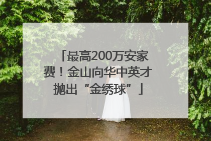 最高200万安家费！金山向华中英才抛出“金绣球”