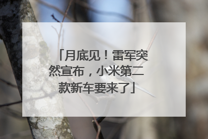 月底见！雷军突然宣布，小米第二款新车要来了