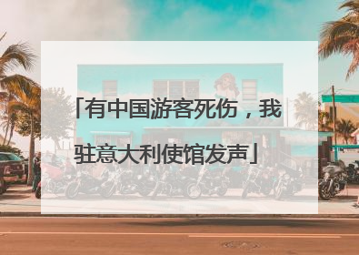 有中国游客死伤，我驻意大利使馆发声