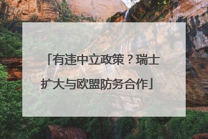 有违中立政策？瑞士扩大与欧盟防务合作