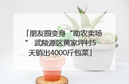 朋友圈变身“助农卖场” 武陵源区黄家坪村5天销出4000斤包菜