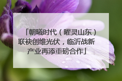 朝曦时代（曜灵山东）联袂创维光伏，临沂战新产业再添重磅合作